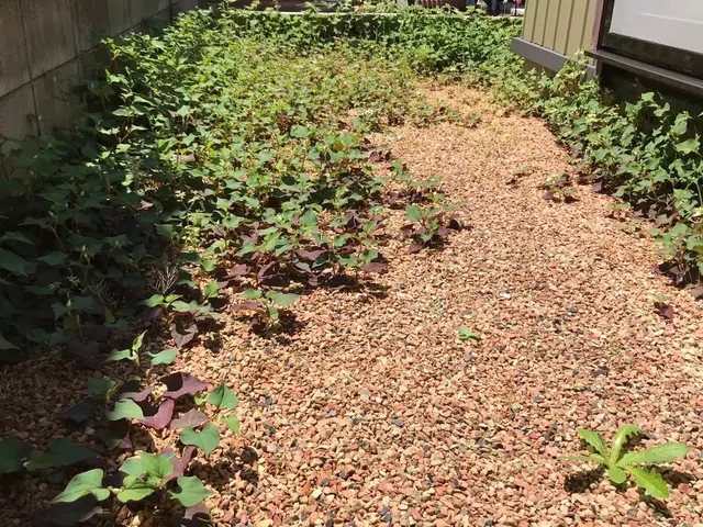 女性スタッフの同行可能◎営業時間外や対応地域外もお気軽にご相談ください！サービスの画像