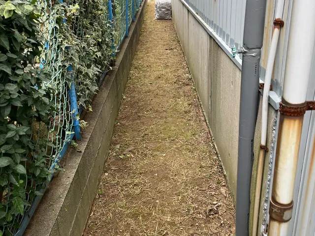 女性スタッフの同行可能◎営業時間外や対応地域外もお気軽にご相談ください！サービスの画像