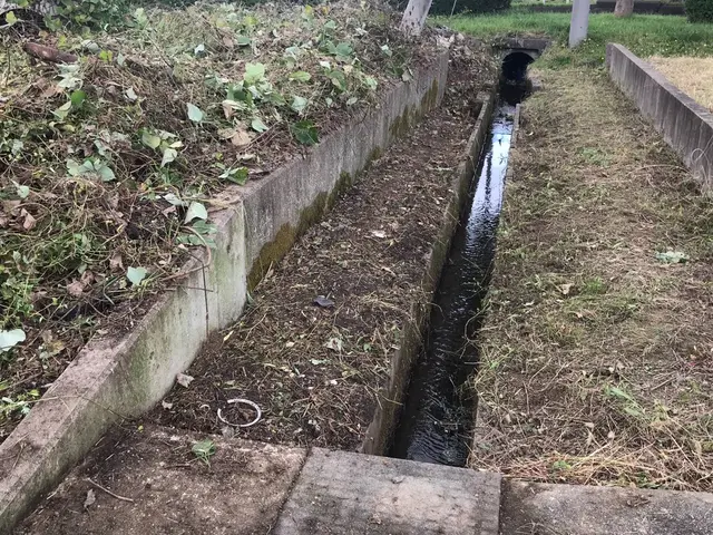 女性スタッフの同行可能◎営業時間外や対応地域外もお気軽にご相談ください！サービスの画像