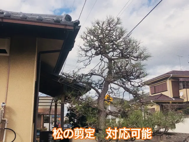 即返信　アワード23'24年入選　全日本植木協会会長在籍　年間500件の実績サービスの画像