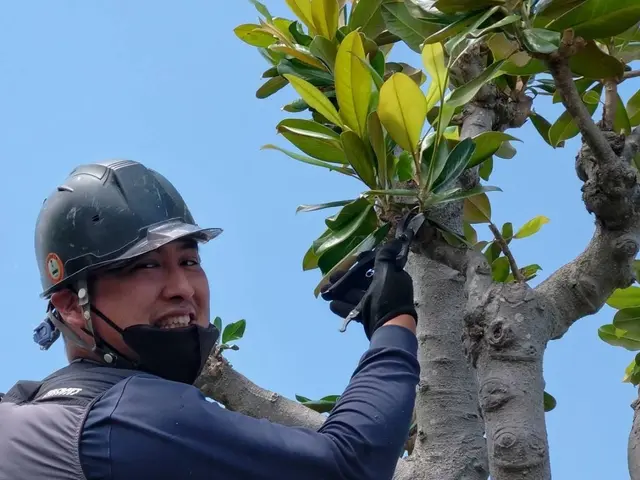 即返信　アワード23'24年入選　全日本植木協会会長在籍　年間500件の実績サービスの画像