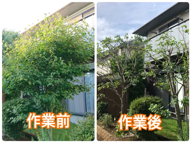 即返信　アワード23'24年入選　全日本植木協会会長在籍　年間500件の実績サービスの画像