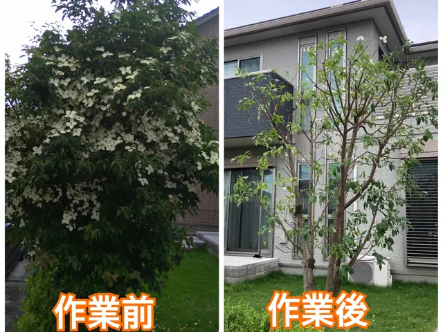 即返信　アワード23'24年入選　全日本植木協会会長在籍　年間500件の実績サービスの画像