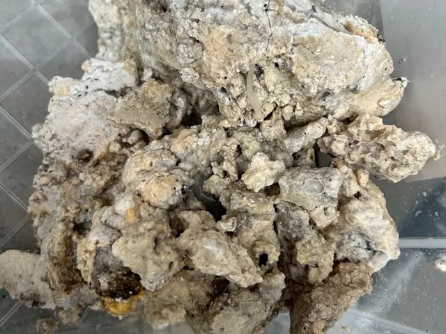 ◎価格キャンペーン期間中◎業界歴12年　◎予約から施工まで100%自社対応サービスの画像