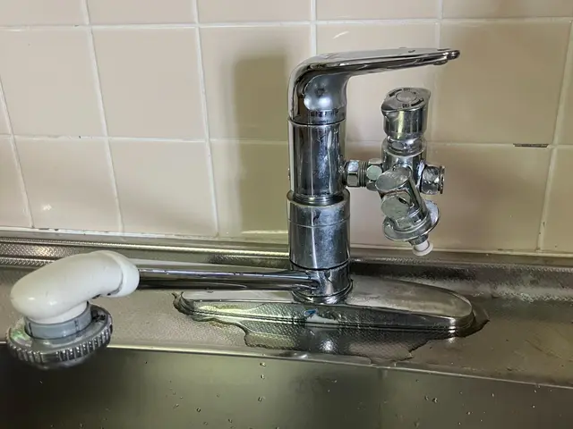 職人っぽくないフランクな対応が売りです！当日対応可能な水栓交換サービスサービスの画像