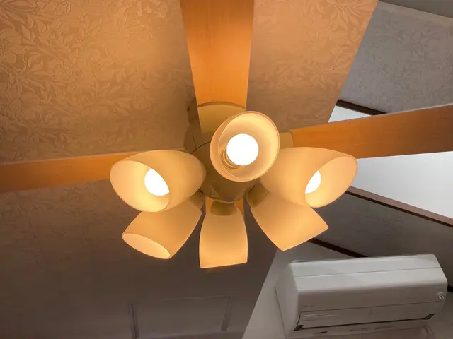 つくばみらい市発【業歴20年】大手業務経験あり 照明・シーリング・ダウンライトサービスの画像