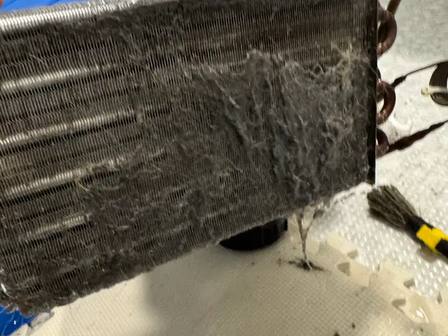 初めてでも安心！乾燥時間が長い・生乾き臭改善！状態によってヒートポンプ洗浄対応店サービスの画像