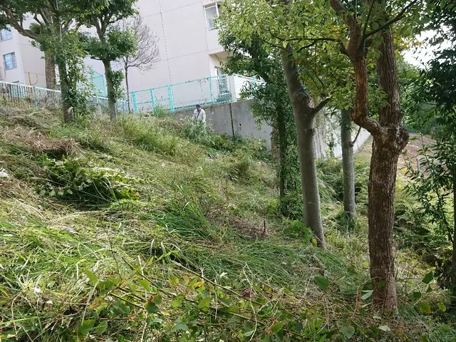 ＜１級造園技能士＞損害保険加入済み！対応地域外もご相談可能！女性スタッフ同行可◎サービスの画像