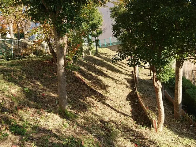 ＜１級造園技能士＞損害保険加入済み！対応地域外もご相談可能！女性スタッフ同行可◎サービスの画像