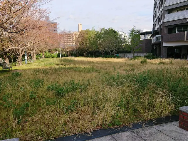 ＜１級造園技能士＞損害保険加入済み！対応地域外もご相談可能！女性スタッフ同行可◎サービスの画像