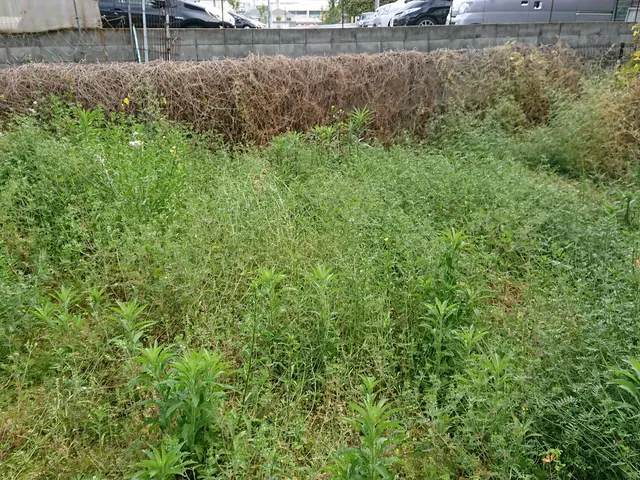 ＜１級造園技能士＞損害保険加入済み！対応地域外もご相談可能！女性スタッフ同行可◎サービスの画像