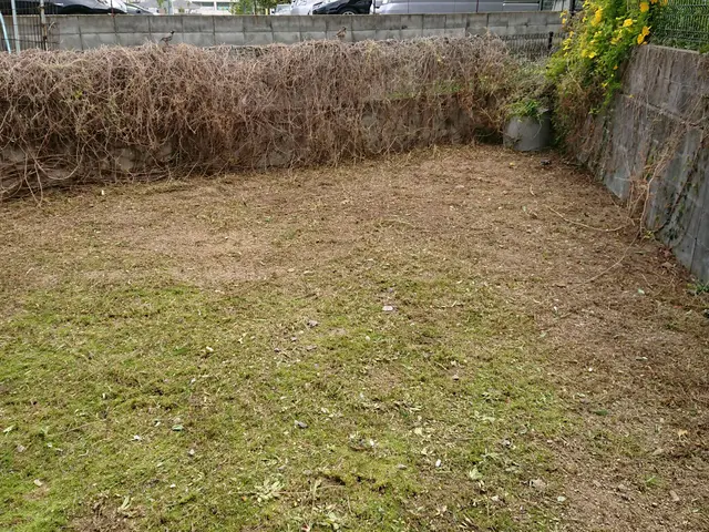 ＜１級造園技能士＞損害保険加入済み！対応地域外もご相談可能！女性スタッフ同行可◎サービスの画像