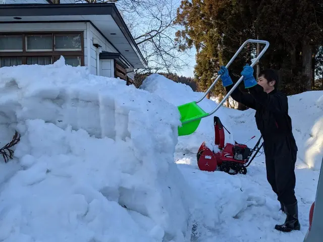 【 除雪・雪下ろし・排雪】　※岩手県全域対応(対象地域外は交通費等別途。)サービスの画像