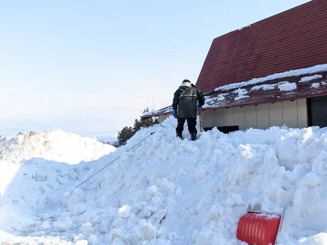 【 除雪・雪下ろし・排雪】　※岩手県全域対応(対象地域外は交通費等別途。)サービスの画像