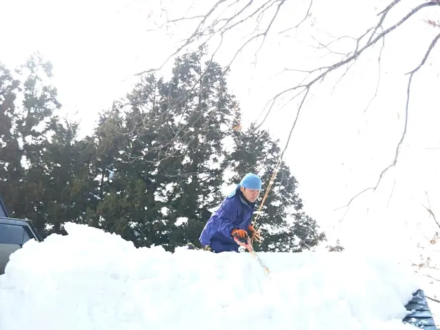 【 除雪・雪下ろし・排雪】　※岩手県全域対応(対象地域外は交通費等別途。)サービスの画像