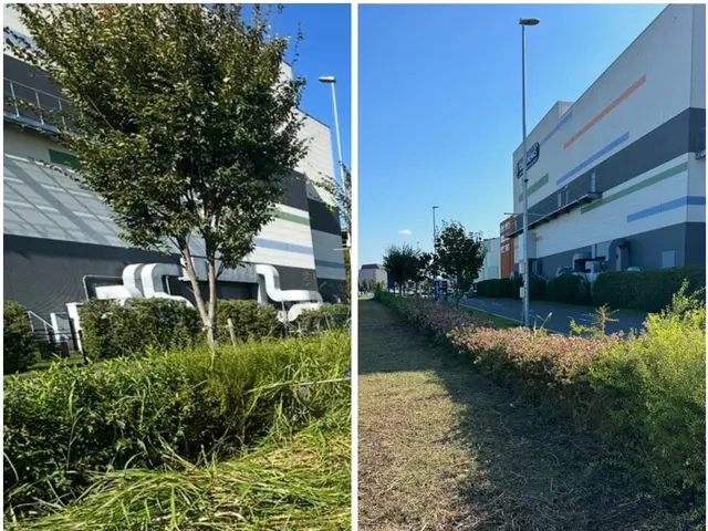 女性スタッフ指定可能！満足保証付きの安心出張対応で美しいお庭を実現サービスの画像