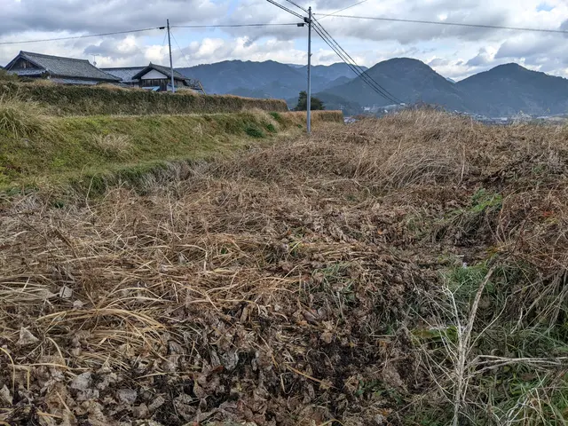 【4月新規出店！】店長の私が必ずお伺いします。高品質・低価格を目指しています！サービスの画像