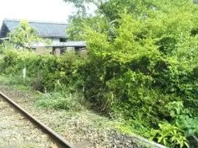 【4月新規出店！】店長の私が必ずお伺いします。高品質・低価格を目指しています！サービスの画像