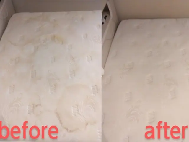 【大型クリーニング専門店】シミ血の汚れペット臭い嘔吐トコジラミ等をクリーニング！サービスの画像