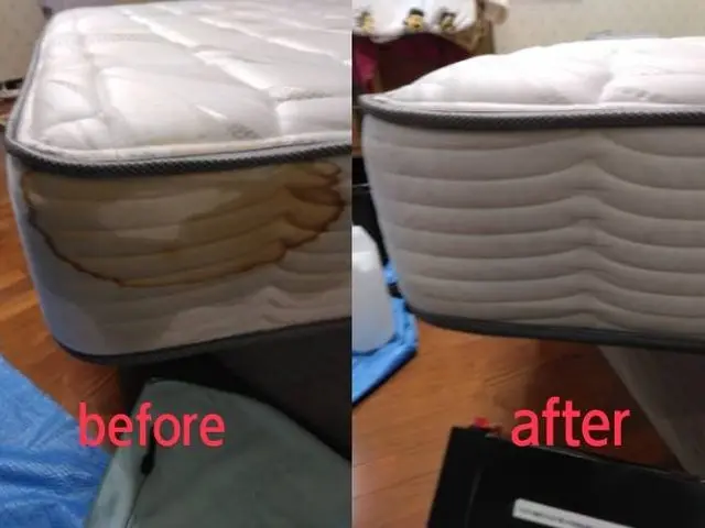 【大型クリーニング専門店】シミ血の汚れペット臭い嘔吐トコジラミ等をクリーニング！サービスの画像