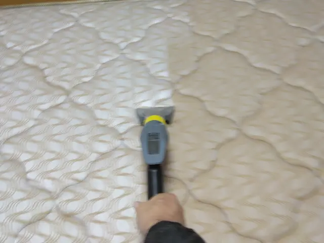 【大型クリーニング専門店】シミ血の汚れペット臭い嘔吐トコジラミ等をクリーニング！サービスの画像