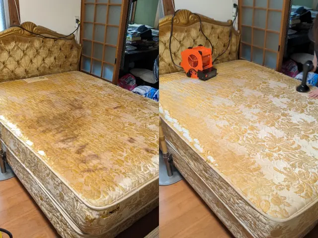 【大型クリーニング専門店】シミ血の汚れペット臭い嘔吐トコジラミ等をクリーニング！サービスの画像