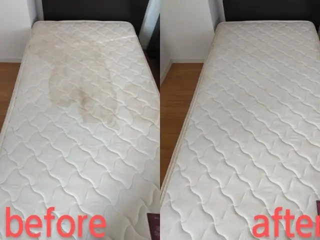 【大型クリーニング専門店】シミ血の汚れペット臭い嘔吐トコジラミ等をクリーニング！サービスの画像