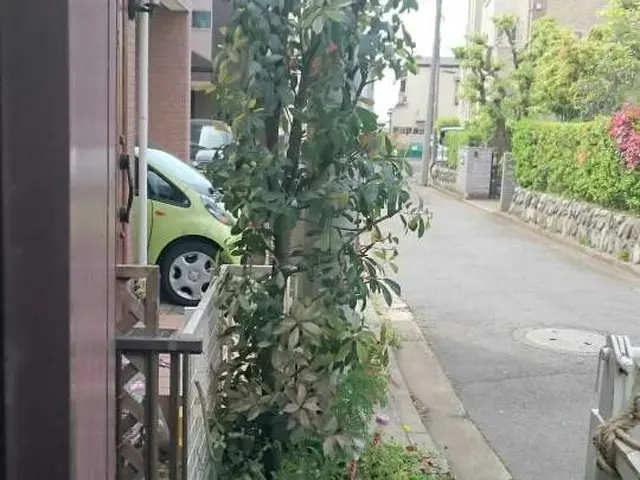 《店長の安心施工》★お庭を綺麗に★本人のみの責任施工！腕に自信有り！任せて安心！サービスの画像