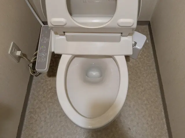 こころわのトイレクリーニング　くらしのマーケット出店記念セール中！サービスの画像