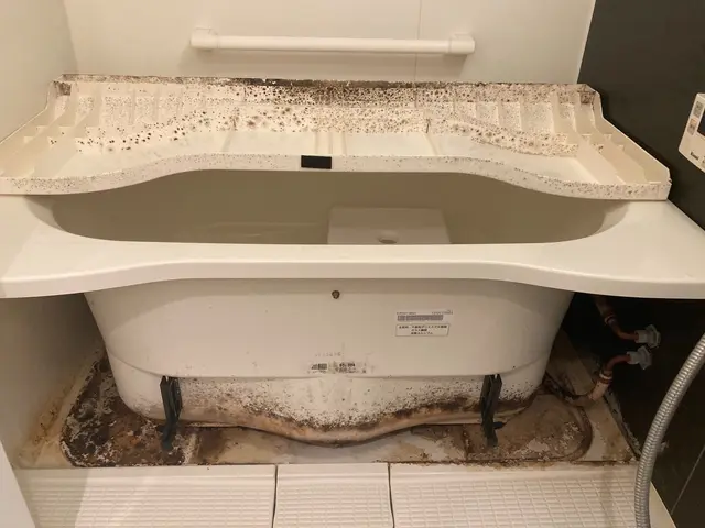 【11/17〜予約可】年末混み合う前にお得な4点セットをお試しください！サービスの画像