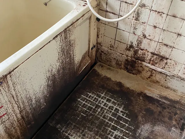 経験豊富な人材に徹底マナー講習すみ！安心リフレッシュ清掃！サービスの画像