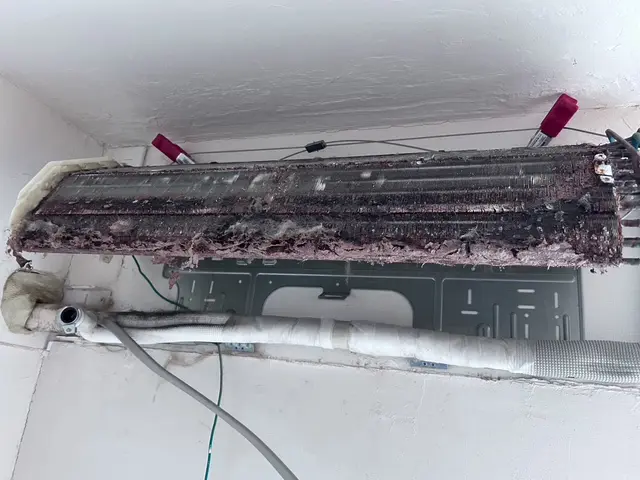 【経験27年の実績】思わず笑顔になります　私店長と息子で伺わせていただきますサービスの画像