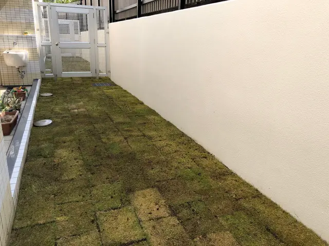 《植木屋を始めてから10年目》神奈川県を中心に対応中◎サービスの画像