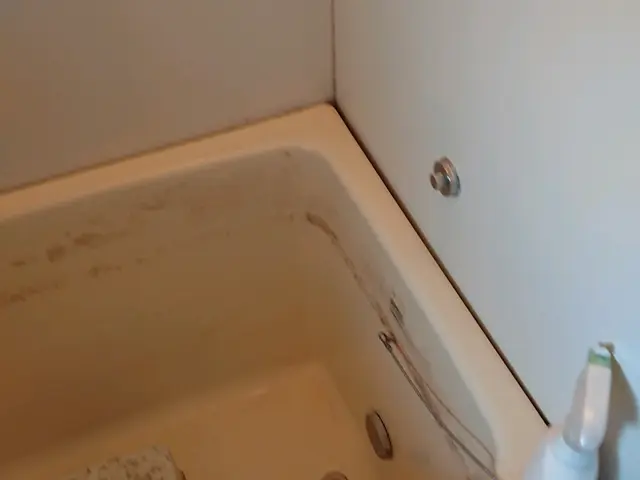 必見！ハウスクリーニング☆サービスの画像