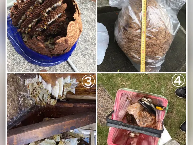 ◆作業実績8年の経験◆年中無休・駐車代お店負担・アフターフォローもばっちりサービスの画像