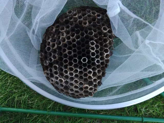 できるだけ早急に対応、土日、祝、営業時間外ok（エリア外もご相談ください）サービスの画像