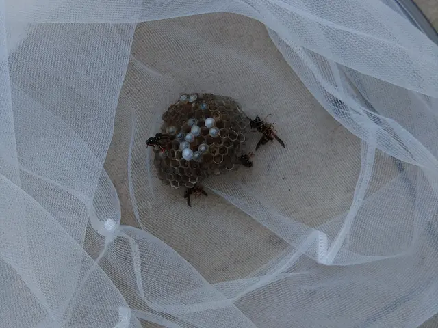 できるだけ早急に対応、土日、祝、営業時間外ok（エリア外もご相談ください）サービスの画像