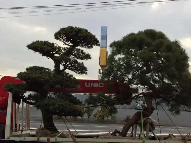 数々の移植の経験と知識を活かして迅速丁寧に作業いたします！サービスの画像