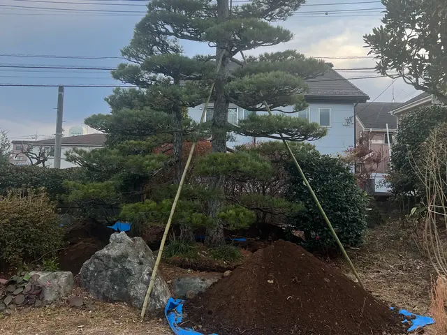 数々の移植の経験と知識を活かして迅速丁寧に作業いたします！サービスの画像