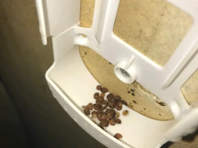 害虫駆除 トコジラミ駆除、予防サービスの画像