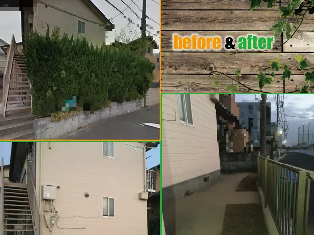 ＜伐採＞年中無休！／造園施工管理技士（国資2級）／空師・アーボリストサービスの画像