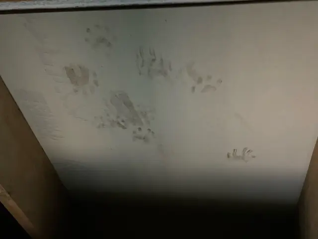 ★✩現地調査及び御見積無料・誠実な対応★✩経験豊富なスタッフにお任せくださいサービスの画像