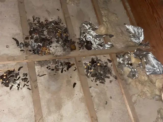 ★✩現地調査及び御見積無料・誠実な対応★✩経験豊富なスタッフにお任せくださいサービスの画像