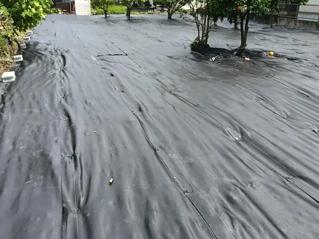 経験27年超のプロが手際よく仕上げる、お庭のケアサービスの画像