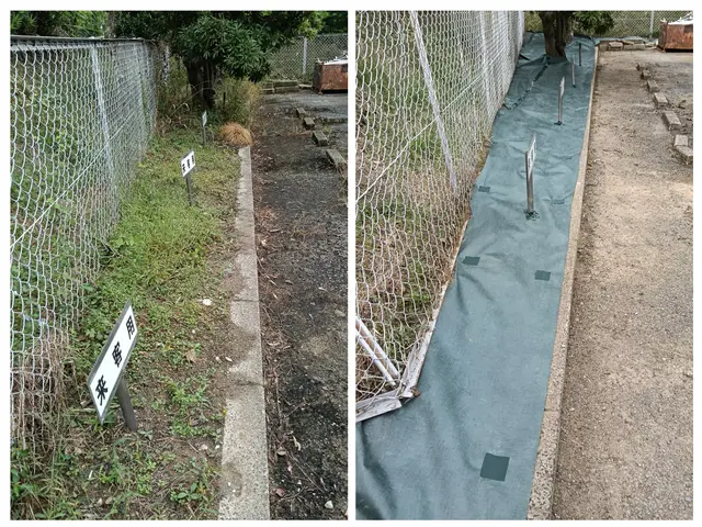 経験27年超のプロが手際よく仕上げる、お庭のケアサービスの画像