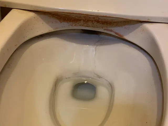 今なら汚れ防止コートとセットがお得！通常13,500円→12,000円！！サービスの画像