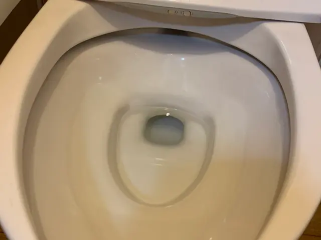 今なら汚れ防止コートとセットがお得！通常13,500円→12,000円！！サービスの画像