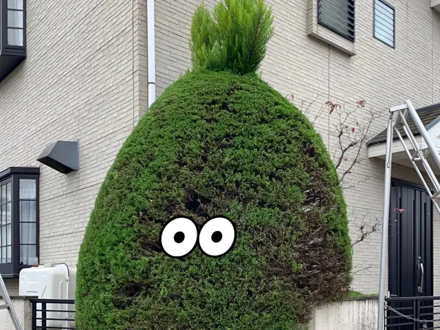 植木屋・彩ガーデンの福田と申します！お庭まわりの事なら何でもご相談下さい。サービスの画像