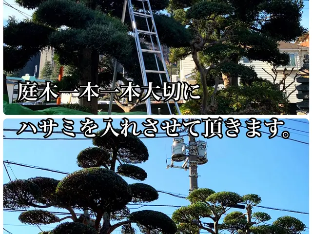 植木屋・彩ガーデンの福田と申します！お庭まわりの事なら何でもご相談下さい。サービスの画像