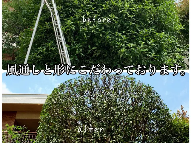 植木屋・彩ガーデンの福田と申します！お庭まわりの事なら何でもご相談下さい。サービスの画像